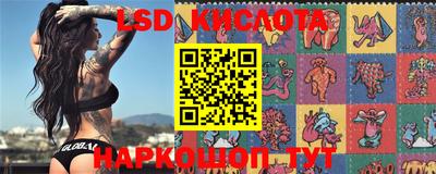 прущие грибы Комсомольск-на-Амуре