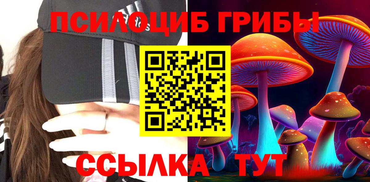 Псилоцибиновые грибы мицелий Гусиноозёрск