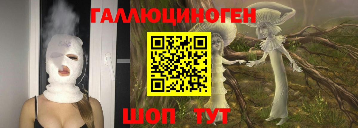 Гусиноозёрск  Псилоцибиновые грибы мухоморы  Вход с VPN  Галлюциногенные грибы Psilocybe 